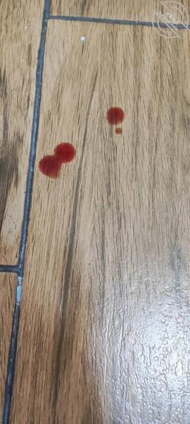 1654249194-e318855f44f1450 1654249194-e318855f44f1450